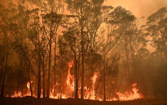 En el sudeste de Australia, la región más poblada, se declaró el estado de emergencia. FOTO AFP