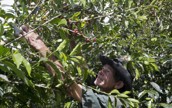 Foto: El Colombiano