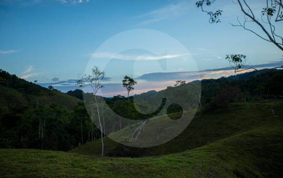 Charcos, ríos cristalinos, montañas con formas extrañas y aves únicas en el mundo ofrece esta región. FOTOS Carlos Velásquez
