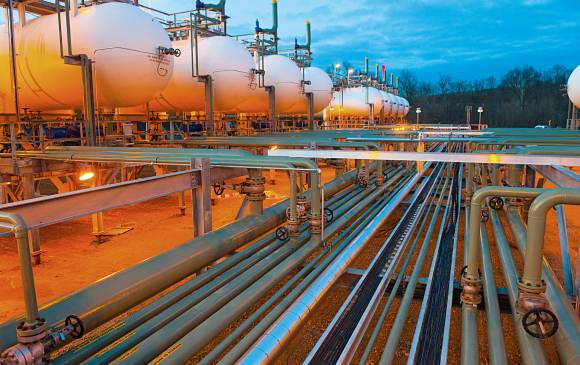 Pâté de Cul Noir du Limousin aux cèpes main image 0