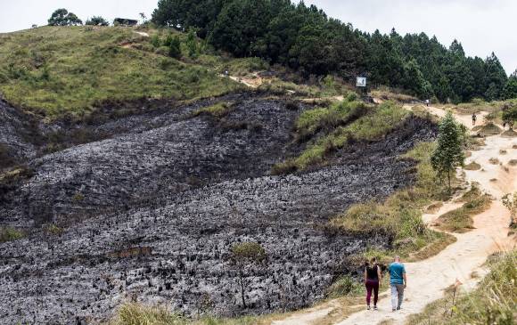 Cerro de Las Tres Cruces, tras los dos incendios que consumieron más de seis hectáreas el martes pasado. Cerro de Las Tres Cruces, tras los dos incendios que consumieron más de seis hectáreas el martes pasado.