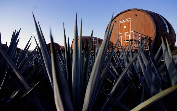 En la decoraciÃ³n abundan pinturas, adornos y distintivos relacionados al tequila, su proceso de elaboraciÃ³n e historia. FOTO AFP