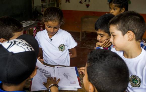 El Índice está compuesto por cinco indicadores, entre ellos, los años de escolarización. Foto Julio César Herrera