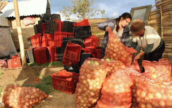 La compra de frutas y verduras directamente a pequeños productores agropecuarios del país es una de las estrategias que busca consolidar el Grupo Éxito. FOTO Cortesía G. Éxito