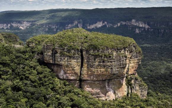 El Parque Natural Serranía de Chiribiquete, sería el lugar del mundo con mayor biodiversidad. La Unesco lo declaró patrimonio mundial y el pesidente Santos oficializa hoy su ampliación. FOTO AFP