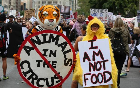 PETA es famosa por sus polémicas campañas en contra de la explotación animal. FOTO sstock