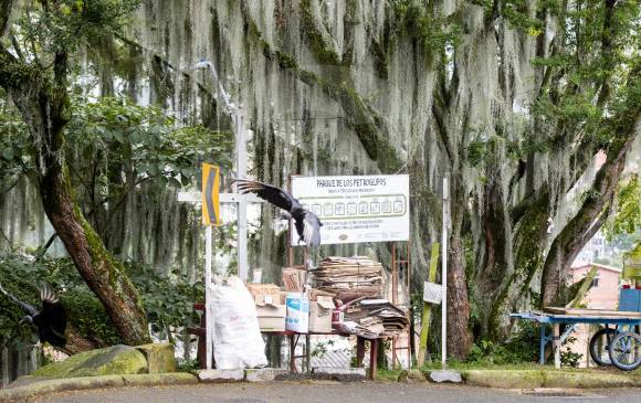 Esta es la entrada del parque de los Petroglifos de Itagüí, ubicado en la vereda El Rosario. Según la veeduría, algunos signos de desgaste ya son evidentes en las piedras talladas. FOTO jaime pérez 