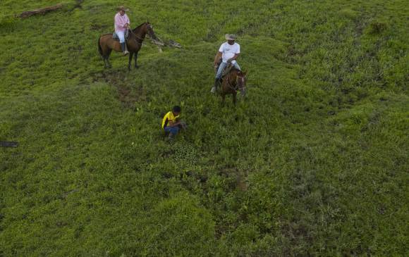 En esta zona de la hacienda El Vergel, en una vereda en la vía a Chigorodó, fueron halladas piezas cerámicas precolombinas asociadas con los camellones. FOTOS Manuel saldarriaga