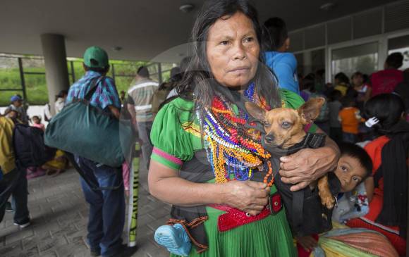La población indígena que se asienta en el casco urbano de Medellín alcanza las 3.500 personas. FOTO Manuel saldarriaga