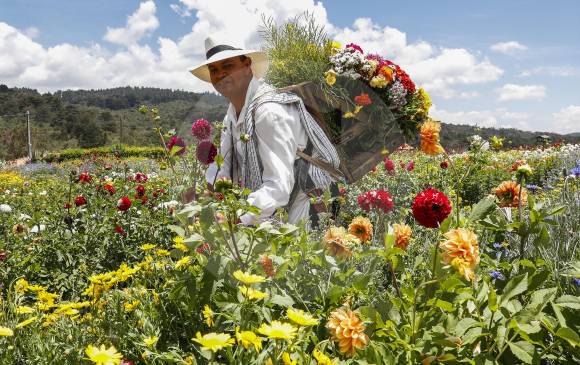 Silletas y Flores Tour
