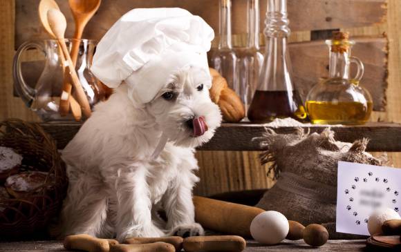 Que los premios alimenticios de sus mascotas sean comida apta para ellos. FOTO Sstock