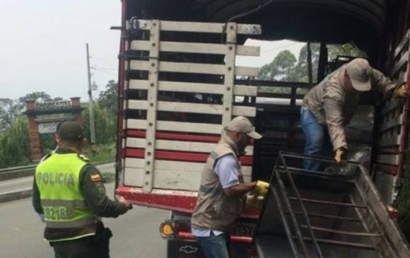 Operativo en Las Palmas. Foto: Secretaría de Seguridad y Convivencia.
