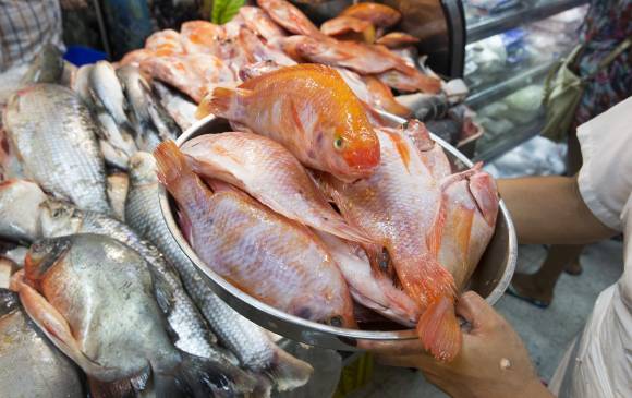 Evitar El Pescado Por El Mercurio