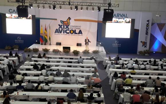 En octubre de 2020, en Medellín, se celebrará el próximo congreso de Fenavi. Foto: Ferney Arias.