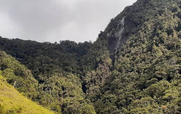 image_content_34309727_20190926104532.jp