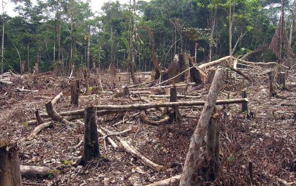 Deforestación en la Amazonia colombiana para cultivos. Foto Matt Zimmerman