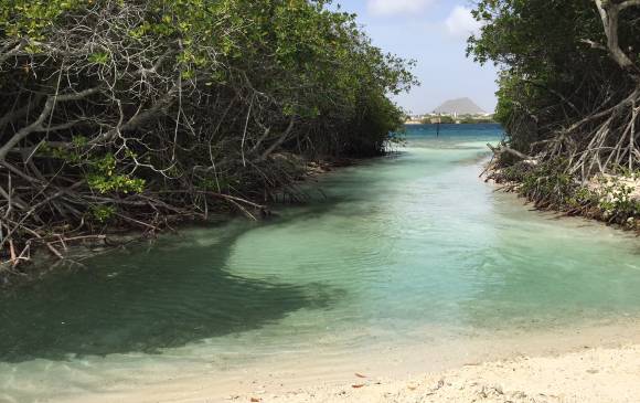 Un recorrido por Aruba y su belleza singular