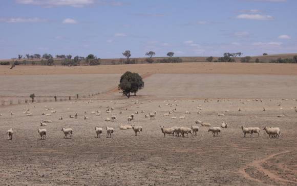 La Tierra está al borde de calentarse a niveles riesgosos. Habría más tiempo extremo. Foto Wilipedia/VirtualSteve