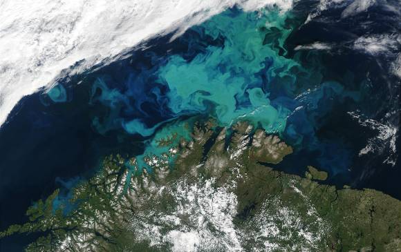 Parte del mar de Barents visto desde un satélite de la Nasa, entre nubes. De verde, al centro, un florecimiento de fitoplancton. FOTO Nasa/Aqua