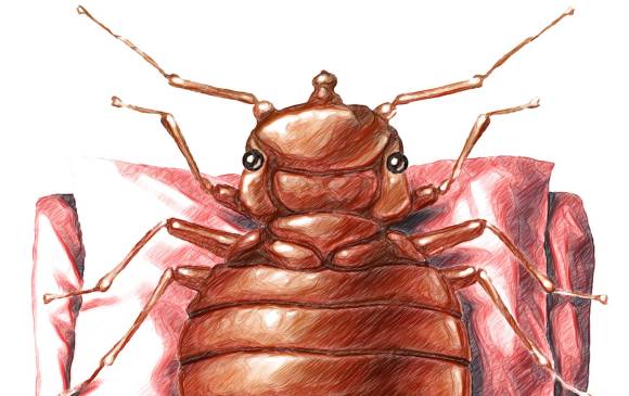 ilustración sstock
