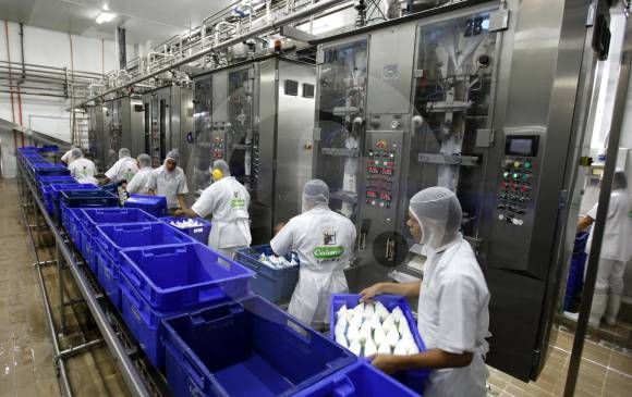Colanta sostiene que un acuerdo comercial con Nueva Zelanda y Australia pone en riesgo 700 mil empleo que genera el sector. Foto: Archivo.