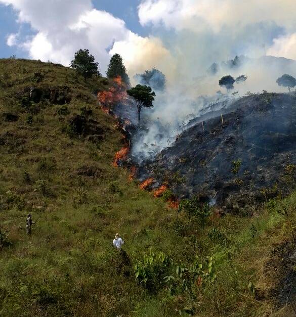 Emergencia por incendio en el cerro Pan de Azúcar de Medellín
