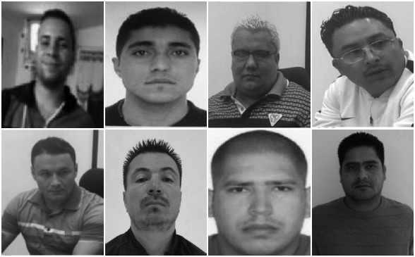 Los que se entregaron: 1). John Montoya (alias “Puto”); 2). Juan Carlos Bedoya (“el Cabe”); 3). Jairo Gallego (“Gallego”); 4). Víctor Pérez (“Víctor”); 5). Elkin Arroyave (“Vikingo”); 6). John Galvis (“Chómpiras”); 7). Alexánder Molina (“Buche”); 8). Carlos Mazo (“Caliche”). FOTOS CORTESÍA