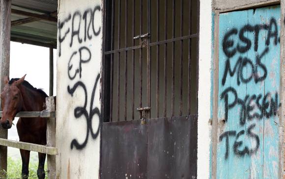La comunidad de Briceño, Antioquia, ha sido una de las más beneficiadas con el desescalamiento del conflicto armado. Allí se adelanta un plan piloto de desminado humanitario. FOTO jaime pérez