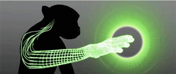 Prueban con éxito primera prótesis virtual | Dibujo cortesía Nature, K. Zhuang | Simios movieron brazo virtual para tocar objetos virtuales y sentir sus texturas.