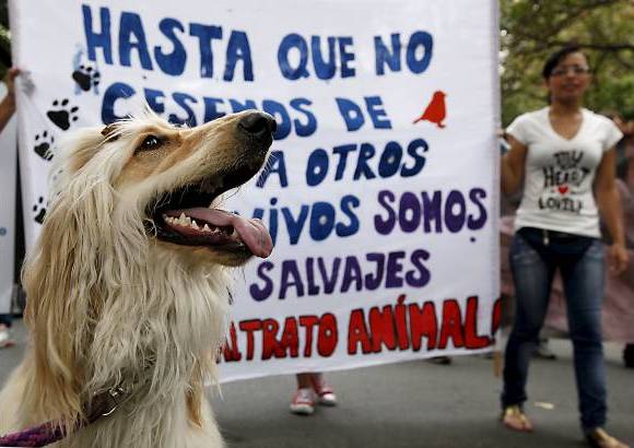 Julio C&#233;sar Herrera - Con consignas como &quot;somos la voz de los que no tienen voz&quot;, y &quot;defiendo, defiendo, defiendo la vida&quot;,...