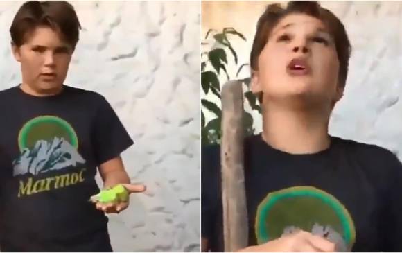 El niño Renato Barrera sostiene el cuerpo de su mascota “Chimuelo”. FOTO CAPTURA DEL VIDEO