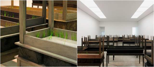 Doris Salcedo vuelve a decir con silencio | FOTO BLOOMBERG - CORTESÍA FLORA ARS+NATURA