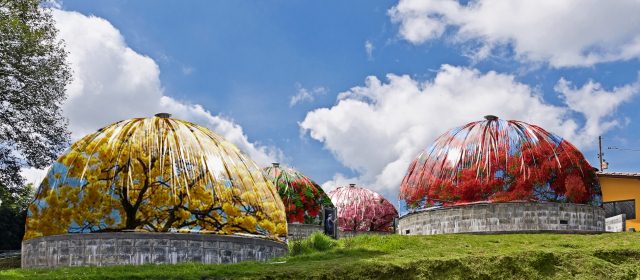 Hongos locales con patente mundial | "Mi meta es lograr la estandarización de estas casas de cultivo simples, eficientes, económicas y ecológicas", afirma Jorge Enrique Suárez, investigador y gerente de Comercializadora de Champiñones. FOTO CORTESÍA IMAGO FOTODISEÑO |