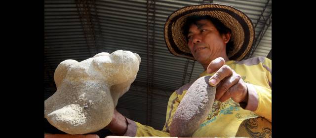 Más y más fósiles salen en La Tatacoa | La variedad de piezas sugiere habría un cementerio.FOTO HENRY AGUDELO