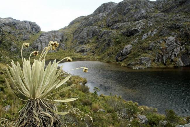 El 12 de abril iniciará la consulta con las comunidades para establecer la nueva delimitación del Páramo de Santurbán. FOTO: Colprensa