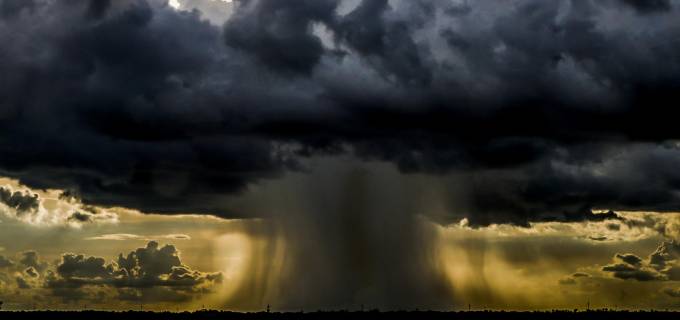 La fotografía de Jaime Pérez, Hongo de agua. 