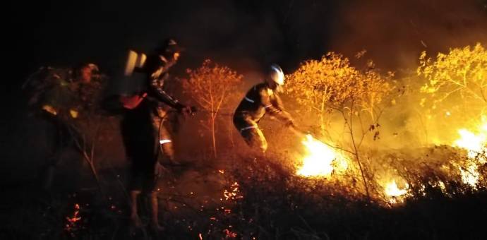 Unas 700 hectáreas estaban amenazadas por el fuego y fueron salvaguardadas gracias a la rápida reacción de los cuerpos de socorro. FOTO: Cortesía Ejército.