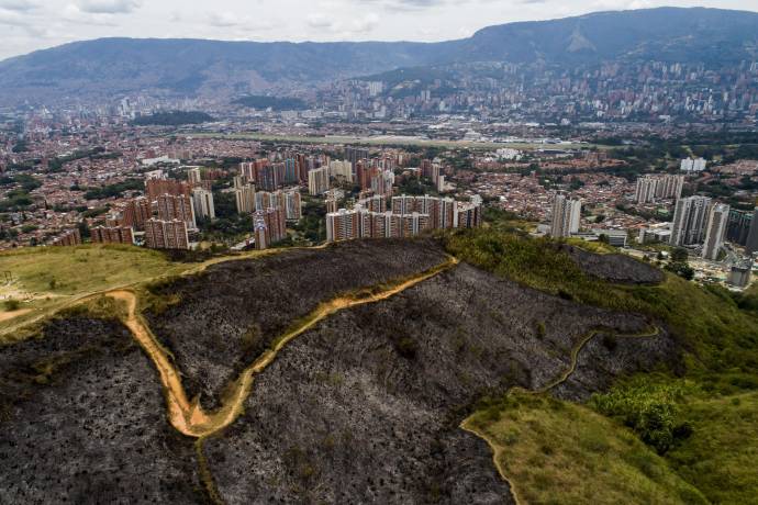 Según lo establecido, este incendio habría sido originado por tres personas (menores de edad). Foto: Esteban Vanegas Londoño