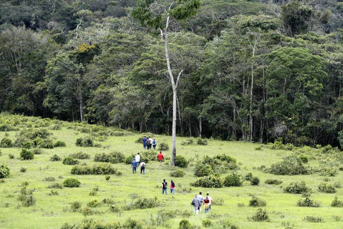 Es uno de los 24 Espacios Territoriales de Capacitación y Reincorporación (Etcr), en el que los excombatientes de la Farc aprovechan sus días para construir futuro a través de un turismo guiado para la comunidad y turistas que desean conocer donde antes eran territorios de conflicto. Foto: Manuel Saldarriaga Quintero