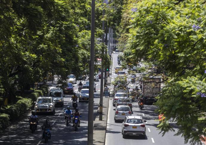 Con los anuncios de construcción del metro de la 80, ambientalista y vecinos del sector expresan inquietud por el impacto que tendrá sobre la conectividad ambiental en la zona. Foto: Manuel Saldarriaga Quintero
