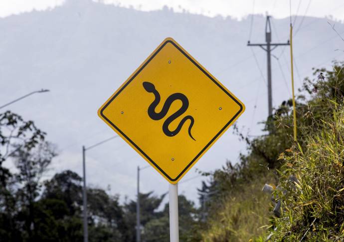 La expansión urbana en el Valle de Aburrá limita los hábitats de las especies y la alta velocidad de los vehículos es otro factor de riesgo para ellas. FOTO: Camilo Suárez