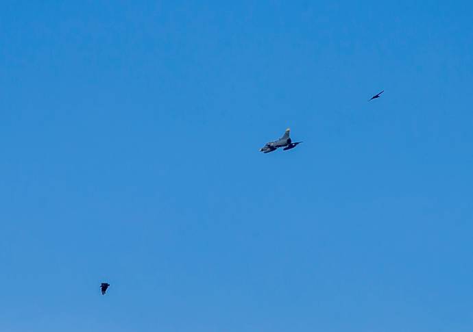 Con sobre vuelos por el Valle de Aburrá de cuatro aviones Kfir (Cachorros de León) se celebraron los 210 años de la Independencia de Colombia. Foto: Juan Antonio Sánchez