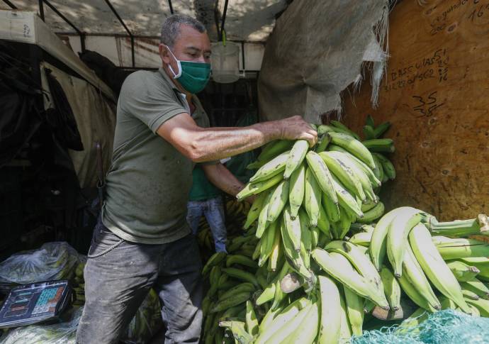 Con un aproximado de 5.985 toneladas de productos proveniente del todo departamento, la plaza Mayorista se abastece para que las familias puedan conseguir a precios económicos sus alimentos. Foto: Manuel Saldarriaga Quintero.