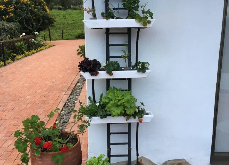 Hay diferentes maneras de adaptar los espacios de la casa para sembrar prodcutos consumibles. FOTO cortesía, paqúa. 