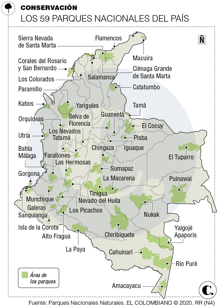 InfogrÃ¡fico