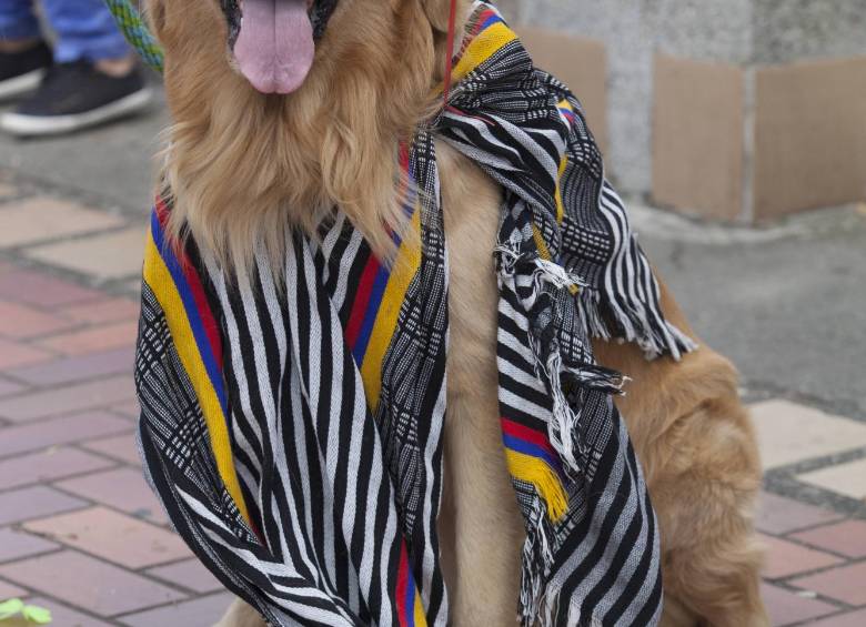 Mascotas de todos los tamaños se dieron cita en la estación estadio. FOTO EDWIN BUSTAMANTE