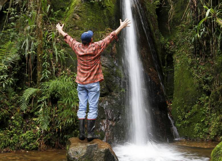 Colombia tiene 14 millones de hectáreas en el Sistema de Parques Nacionales. FOTO edwin bustamante