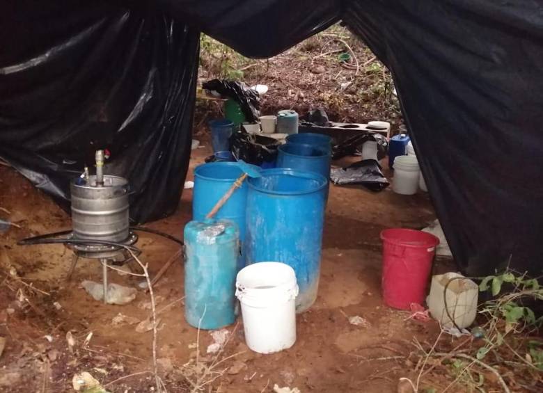 Imagen de referencia de laboratorio de Coca en el Atlántico. FOTO: COLPRENSA 