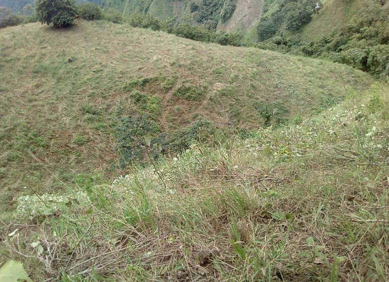 Imagen tomada el 07/08/17 en la vereda Palmichal. FOTOS: Cortesía y Donaldo Zuluaga.