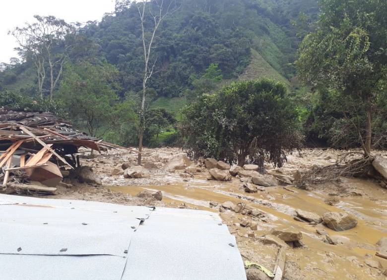 Así quedó el lugar por donde pasa la creciente del río Venus en la vereda Quebrada Negra. FOTO CORTESÍA JAIR CARDONA